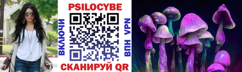 нарко площадка Telegram  OMG ТОР  Чёрмоз  Псилоцибиновые грибы Cubensis 